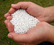 Азотные удобрения – важная поддержка культур удобрения