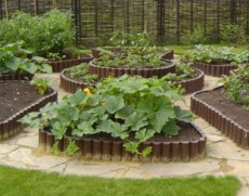 цветник-огород цветник-огород