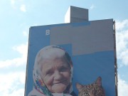 Коты идут. Что показал билборд в Днепродзержинске