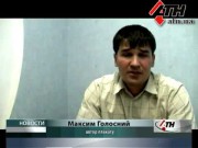 Кот и бабушка на ТВ