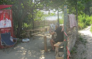 Царёк местного разлива