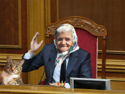 «Котики» наступают или виртуализация – мать украинского квазипорядка