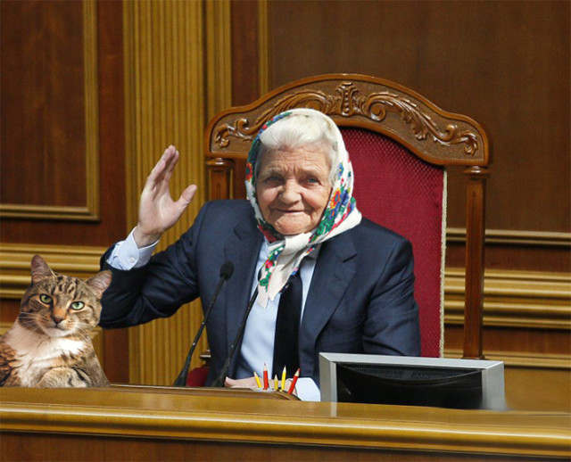 бабушка и кот