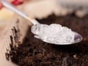 Использование в садоводстве гидрогеля гидрогель