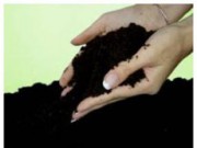 Гумус – одно из лучших природных удобрений гумус