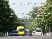 За полугодие высажено 2738 деревьев деревья