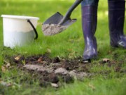 Зола – одно из лучших органических удобрений зола