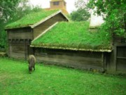 Торфяной мох и его применение в цветоводстве мох