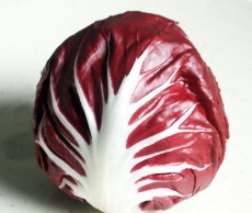 Радиккьо – итальянский салат на вашем участке радиккьо