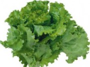 Римский салат не только в ресторанах римский салат