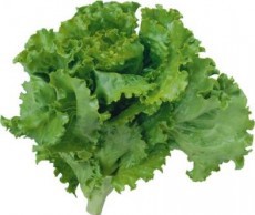 Римский салат не только в ресторанах римский салат