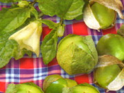 Физалис – экзотика, про которую забыли