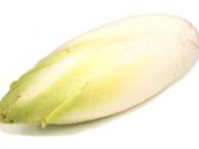 Салатный цикорий – витамины круглый год цикорий салатный