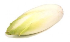 цикорий салатный