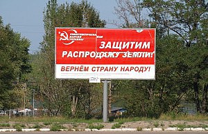 Природа отомстила за бабушку и кота