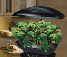 Гидропоника – современная альтернатива грунту Гидропоника