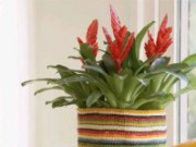 Идеальный горшок для цветка горшок