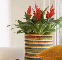 Идеальный горшок для цветка горшок