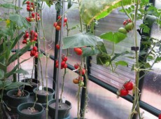 домашний огород отопление