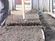 Искусственная почва для огорода исскуственная почва