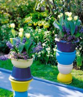 Луковичные растения – красота в горшке луковичные