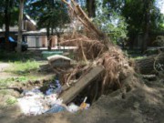 В ЖЕКе приходится тратить больше денег на мусор мусорки во дворах