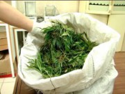 В Днепродзержинске продолжают задерживать за хранение наркотиков наркотики нарушители