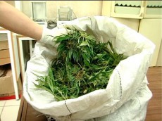 наркотики нарушители