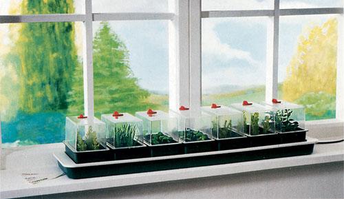 огород дома