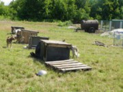 Городской совет выделил деньги на приют для собак приют собаки