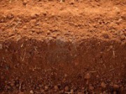 Глина – еще не преграда плодородию Глина-почва