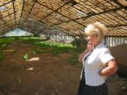 Разработан проект программы развития «Зеленстроя» зеленстрой