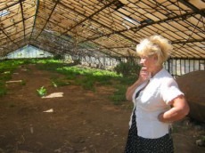 зеленстрой зеленстрой