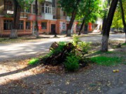 Коммунальщики не спешат наводить порядок коммунальщики пни