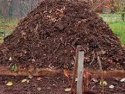 Компост под зиму компост