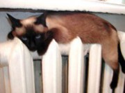 Снижается тариф на тепло для жителей Соцгорода и БАМа опалення