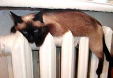 опалення опалення