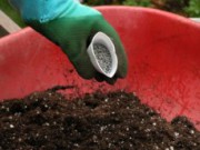 Польза и вред альтернативных удобрений удобрение