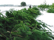 Под Днепродзержинском объявились «новогодние» браконьеры