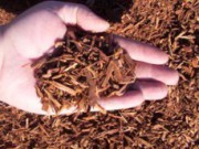 Мульчирование почвы опилками мульчирование опилками