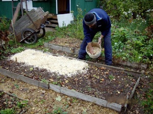 мульчирование опилками