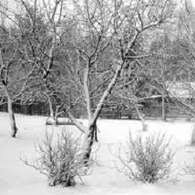 подмерзание