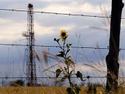 Харьковская громадська рада при облэкологии — о сланцевом газе сланцевый газ