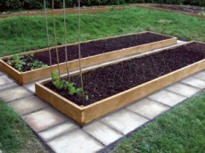 теплая грядка