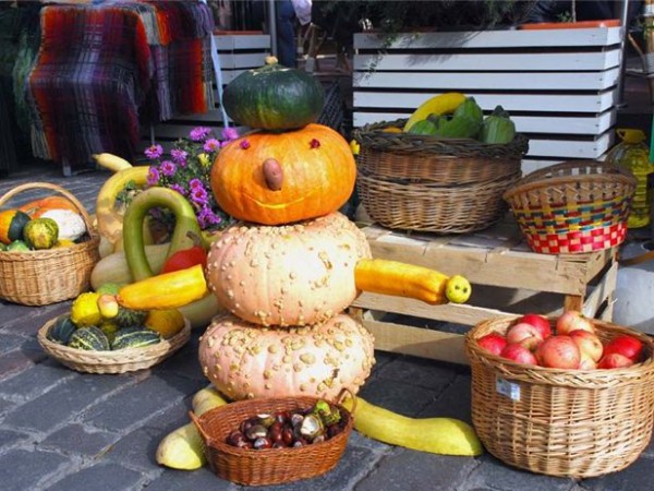 урожай овощей