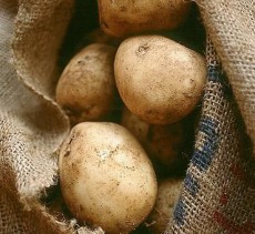 хранение картофеля