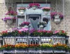 цветы на балконе