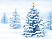 Контрабандные ели елка