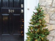 Елка в горшке – праздник с заботой о природе елка