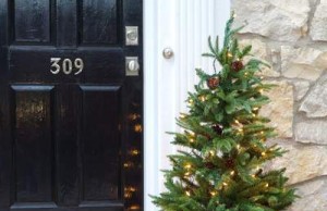 Елка в горшке – праздник с заботой о природе елка